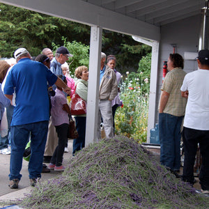 Jardin du Soleil lavender farming experience 6