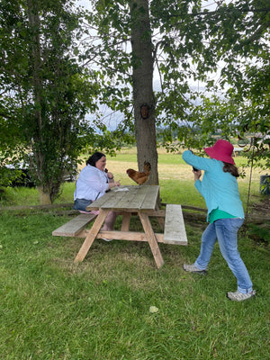 Jardin du Soleil Lavender Festival 2025
