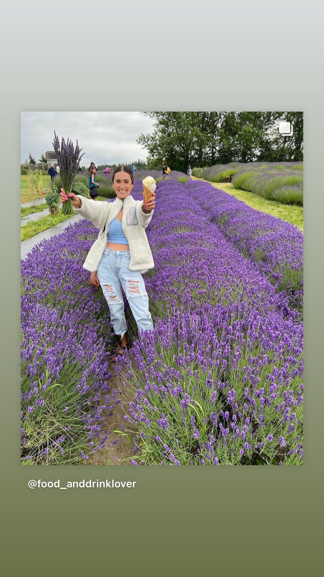 lavender flower festival Jardin du Soleil Lavender Festival 2022