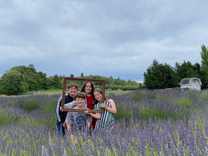 Jardin du Soleil Lavender Festival 2025