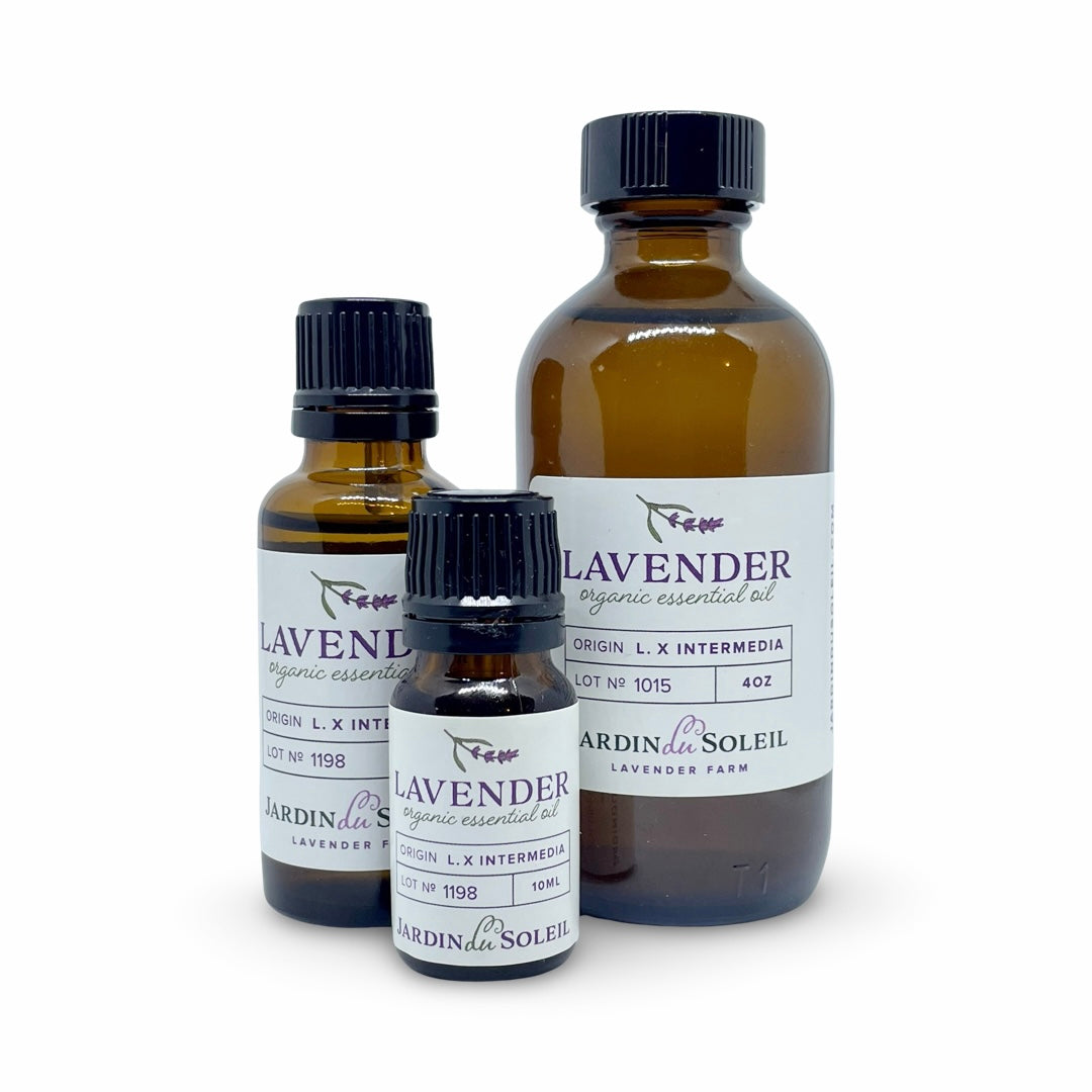 Certified Organic Lavender Pure Essential Oil, Grosso Variety