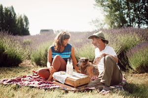 Sunset Picnic Dinner