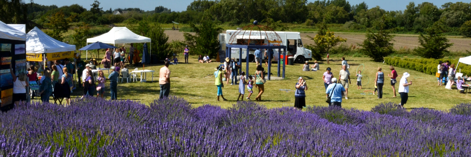 Sequim Lavender Festival 2025 Clio Melody