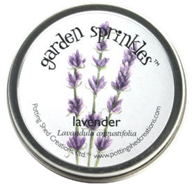 potting lavender seeds Lavender Seeds