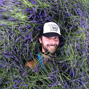 Jardin du Soleil lavender farming experience 5