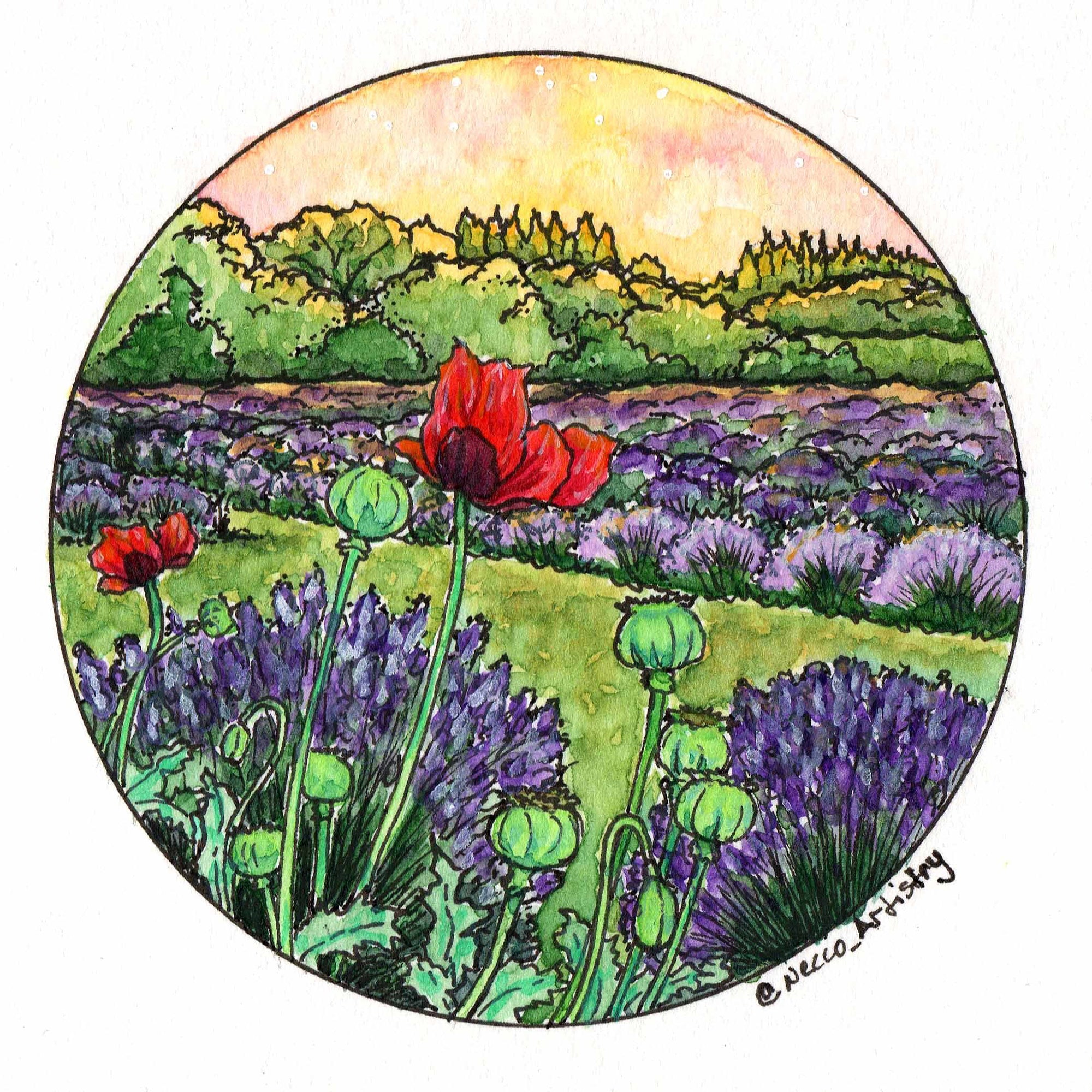 Watercolor Sticker - Poppies
